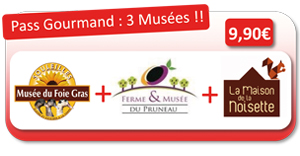 Le pass'gourmand : 3 tickets d'entrée pour les 3 délices du Lot-et-Garonne : 8,50 €